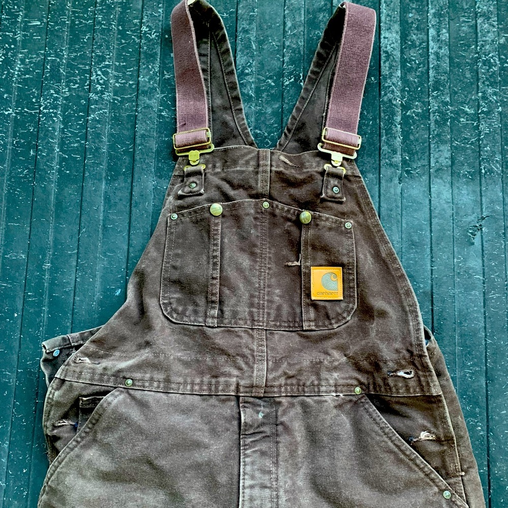 Carhartt Insulated Bibs